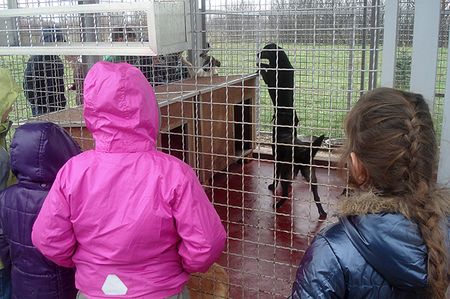 Posjetili su i azil za pse Dumovec