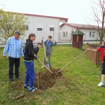 Sedmaši sadili voćke